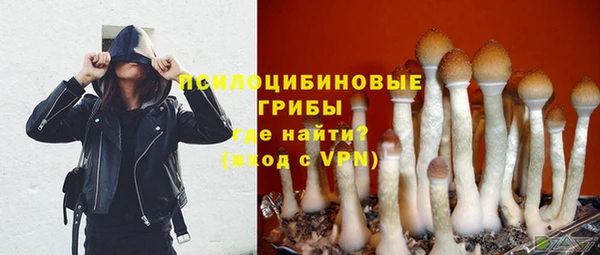 соль ск Россошь