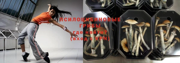 соль ск Россошь