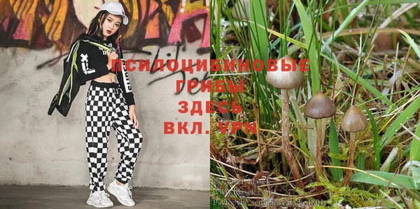 соль ск Россошь