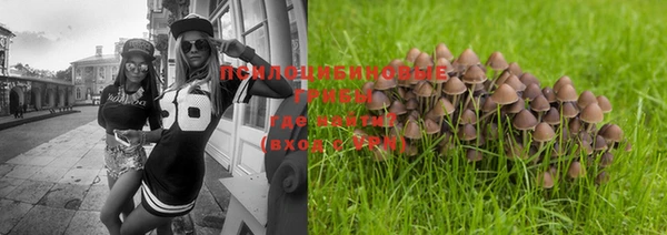 соль ск Россошь