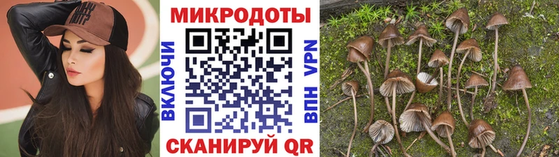 Псилоцибиновые грибы прущие грибы  Купить закладки  Сургут 