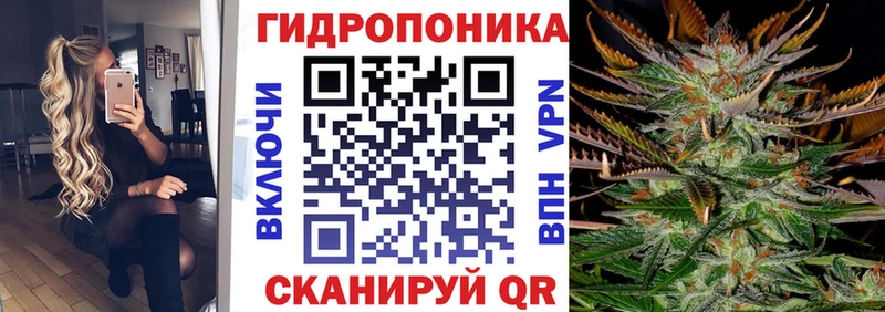 Бошки марихуана семена Сургут